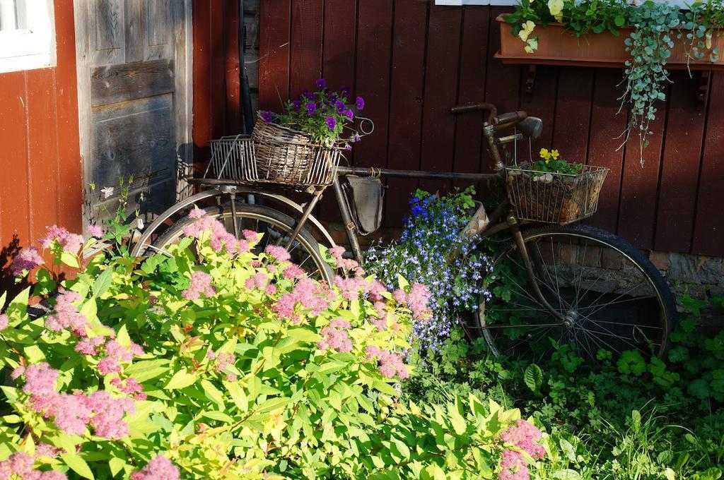 Jaerve Talu Puhkemaja Villa Otepää Rum bild