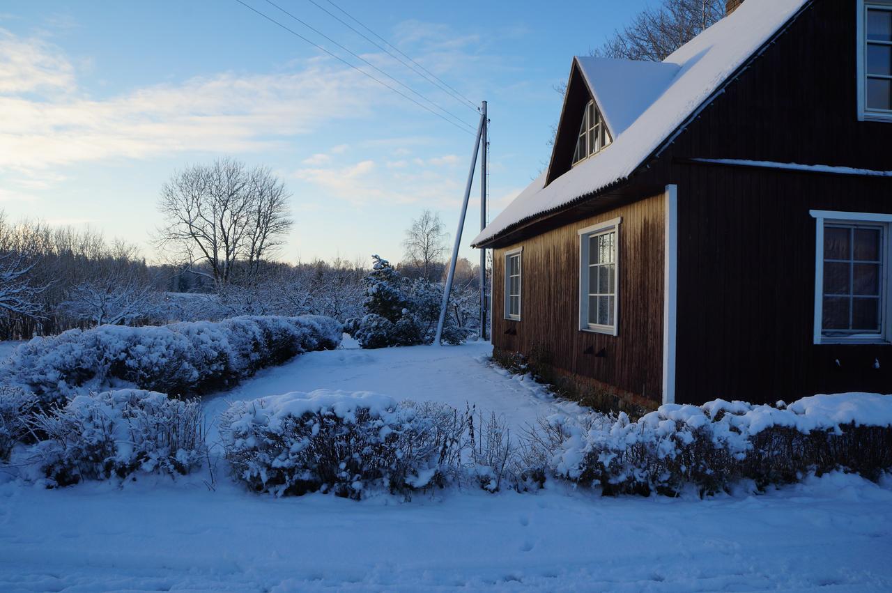 Jaerve Talu Puhkemaja Villa Otepää Exteriör bild